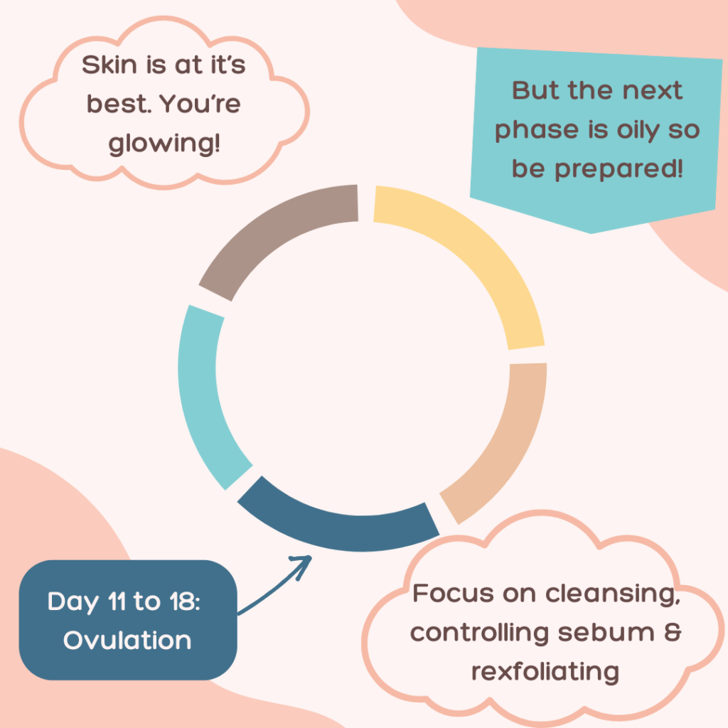 menstrual cycle skincare