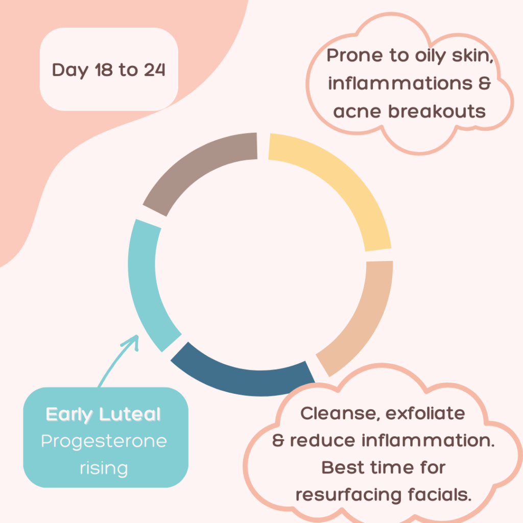 menstrual cycle hormones skincare